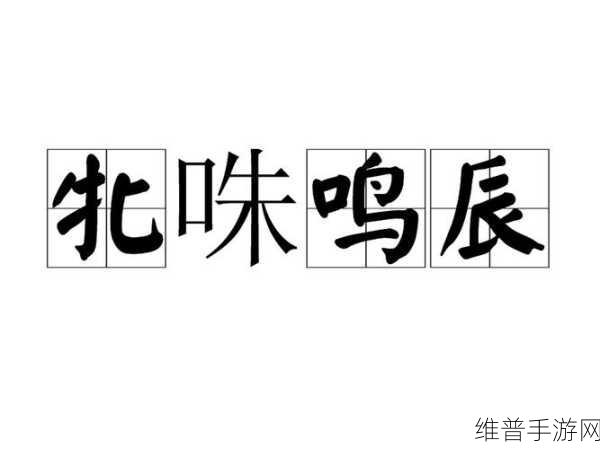 BBW鈥咮BwBBw鈥咮Bw：1. 探索BBW与BwBBw的奇妙结合