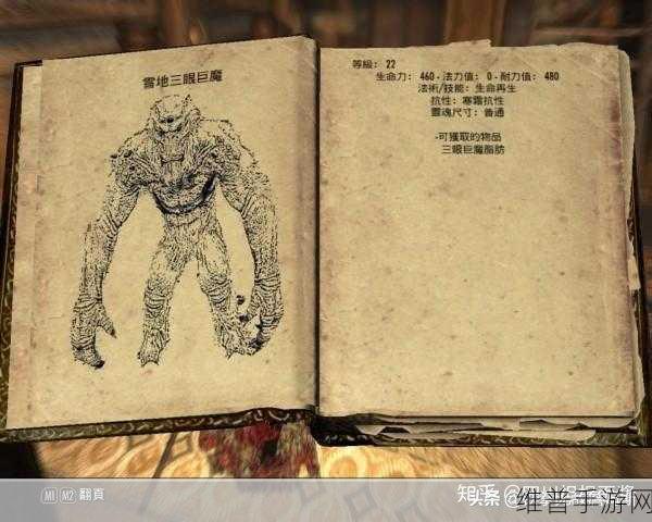 上古卷轴 5 手游，控制台代码与秘籍全解析