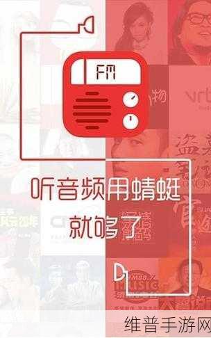 探索手游世界，蜻蜓 FM 10 元包月会员与手游攻略秘籍