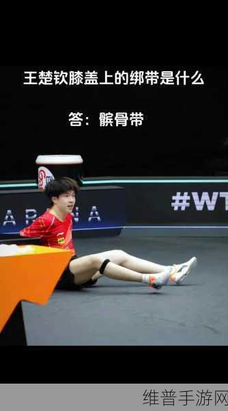 王楚钦舅舅干什么的：1. 王楚钦舅舅的职业揭秘：背后的故事与成就
