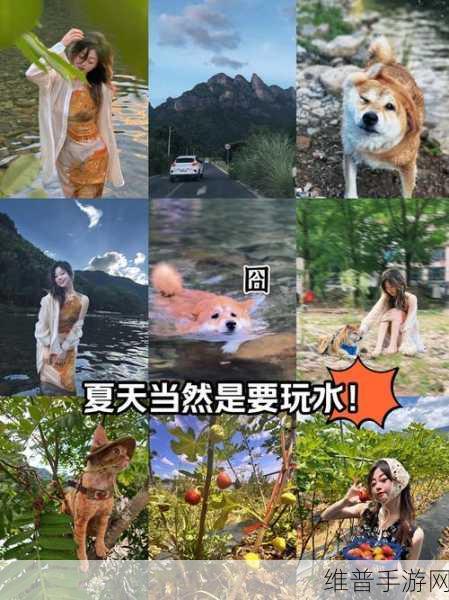 gogogo免费中国：当然可以！以下是一些关于“gogogo免费中国”主题的新标题建议，每个都不少于10个字：