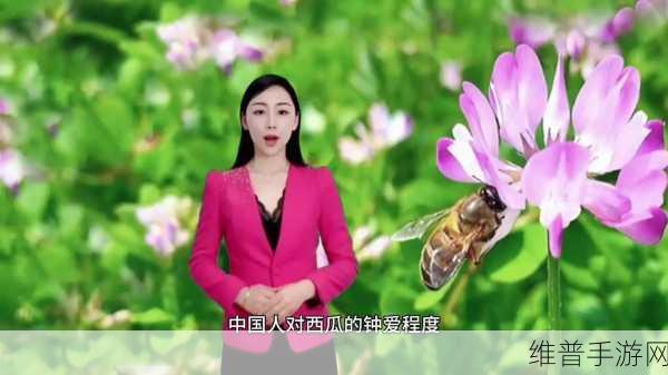 五一吃瓜网站官网入口：1. 探索五一吃瓜网站，尽享美味水果的乐趣