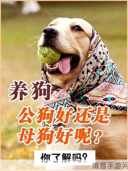 狗和人类dna：1. 探索狗与人类DNA相似性的新发现