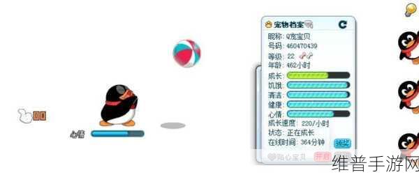 QQ 音乐宠物改名秘籍，详细步骤与要点全解析