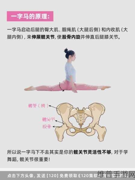 一字马的时候唇瓣是打开的吗:一字马练习中的唇瓣状态与身体舒展的关系探讨