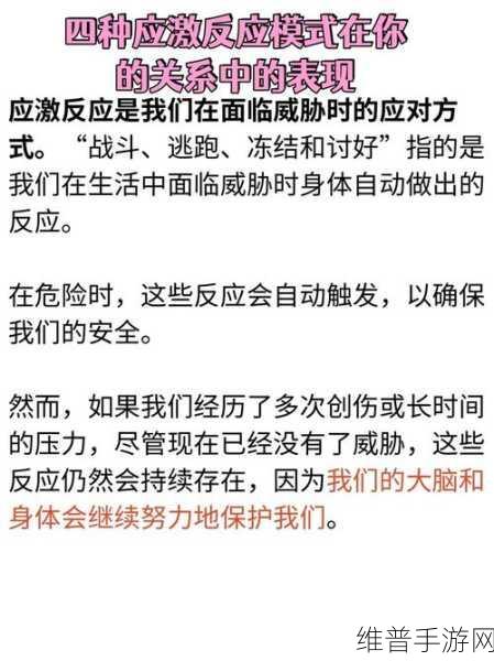 弹药专家武器打攻击还是属性：1. 弹药专家揭秘：武器攻击与属性的深层关系