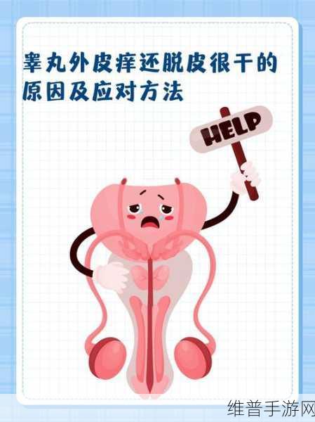 小妹妹说咬掉我的睾丸：1. 小妹妹的奇思妙想：咬掉我的睾丸