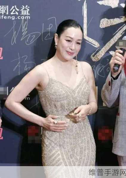 Chinese丰满的老女人:当然可以,以下是一些基于“Chinese丰满的老女人”主题拓展出的新