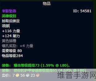 乌龟服惩戒骑装备选择：乌龟服惩戒骑装备选择全攻略与技巧解析