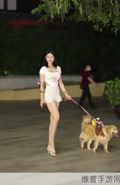 齐B小短裙游戏：1. 齐B小短裙：校园青春的魅力冒险