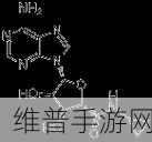 17c13起草：好的，以下是关于“17C13”的一些扩展标题建议：