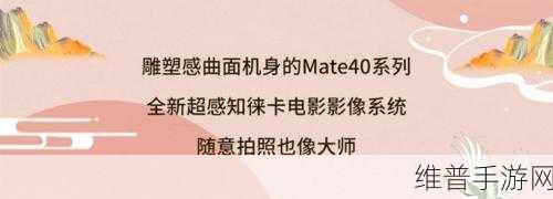中文字幕中出：当然可以！请提供您希望扩展的中文字幕内容，或者告诉我主题，我将为您生成新的标题。