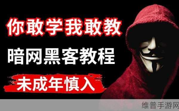 黑料吃瓜暗网导航：1. 揭秘黑料吃瓜：暗网导航的真实面貌
