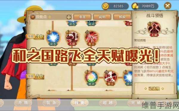 航海王燃烧意志周年庆限定大揭秘与活动全览
