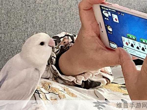 开襟开叉两个大兔子在身体里斗来斗去：开襟与开叉：两个大兔子在身体里的奇幻斗争