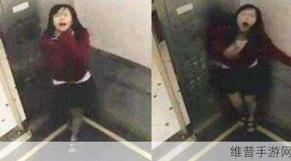 大黑B黑料专区爆料：1. 大黑B黑料专区揭秘：不为人知的内幕故事曝光