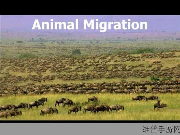 reanimal：1. 重塑动物世界：Reanimal的奇幻之旅