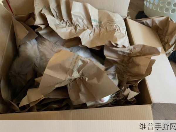 真空下楼取快递被c嗯啊：1. 在真空中取快递，探索极限的乐趣