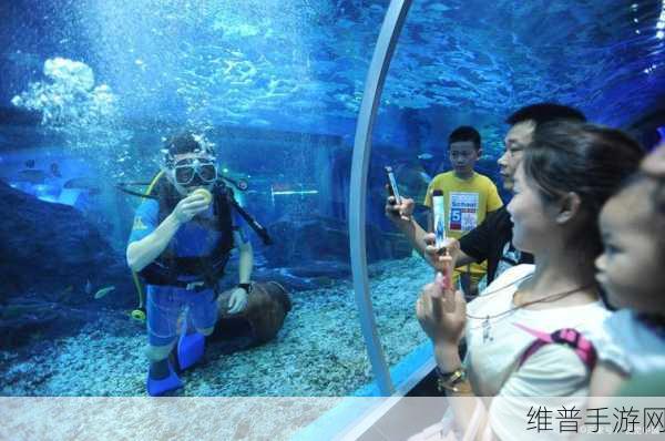 人鳗:人鳗:探索水下世界的奇幻生物之旅