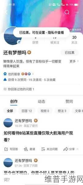 海外直播b站剧集在哪看：1. 海外直播B站剧集观看攻略与平台推荐