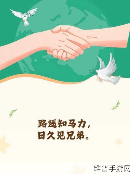 兄弟1v2前后插入：1. 兄弟情深：从一对二的挑战看家庭关系