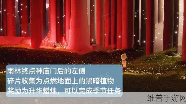 光遇天空王国红色碎片位置全解析