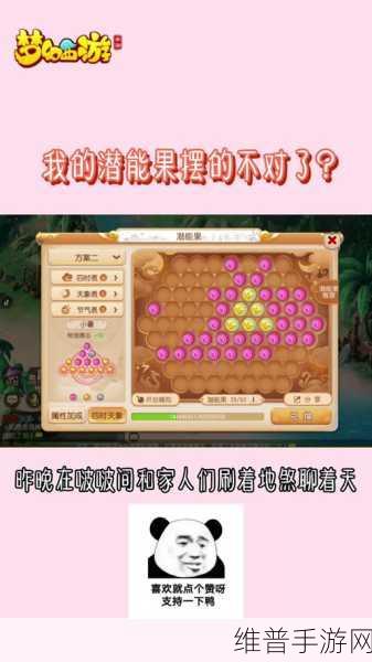 梦幻西游手游，潜能果属性随心换攻略秘籍