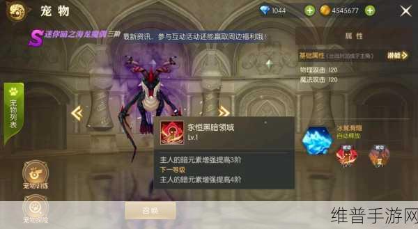 龙之谷 2 宠物获取秘籍大公开