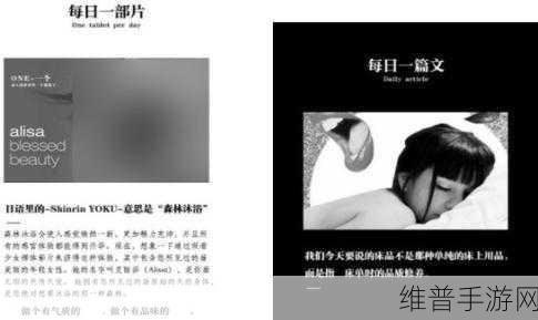 污污污下载：1. 深入探讨污污污下载的潜在风险与影响