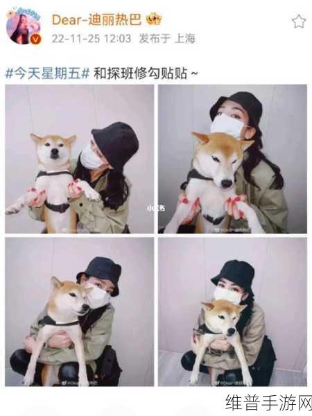 女人的第一次给了狗：1. ＂一次意外的邂逅：她与狗之间的情感交织
