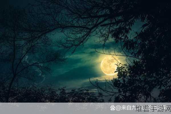 夜晚网站你会感谢我的：当然可以！以下是一些关于“夜晚”主题的新标题建议：