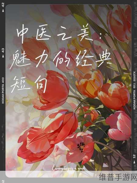 47147大的人文艺术欣赏：1. 人文艺术的魅力：跨越时空的美学探索