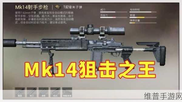 SKS和mk14：当然可以！以下是一些基于SKS和MK14的扩展