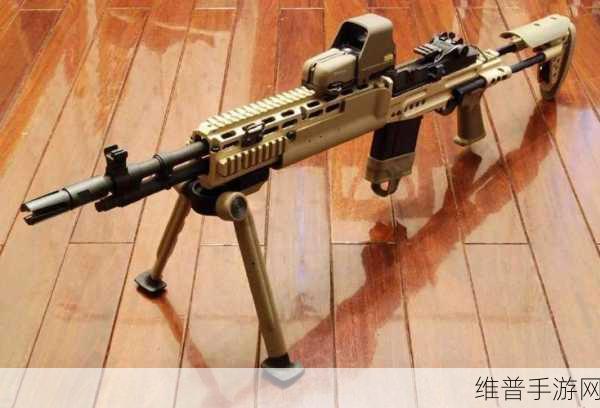 SKS和mk14：当然可以！以下是一些基于SKS和MK14的扩展