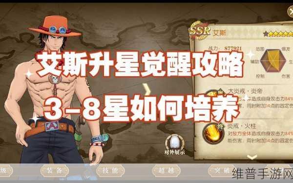 航海王燃烧意志，觉醒艾斯加点秘籍大公开