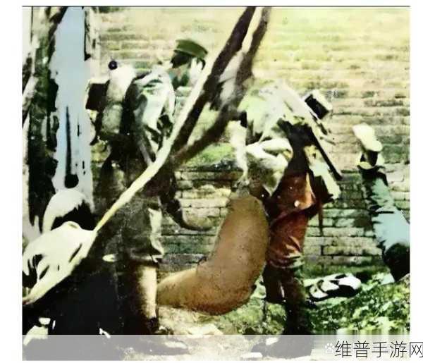 17c草国卢：1. 《17c草国卢：探寻失落的历史与文化