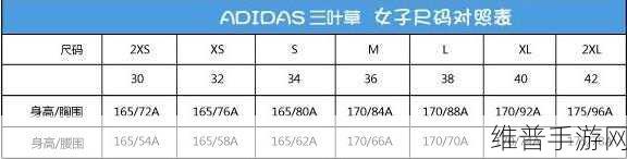 三叶草欧州码在线：1. 探索三叶草欧州码的无限可能性与应用