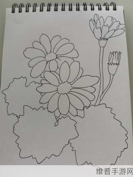 答错一题菊花一插一支笔：1. 答错一题，菊花插笔的幽默哲学