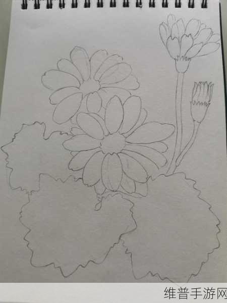 答错一题菊花一插一支笔：1. 答错一题，菊花插笔的幽默哲学