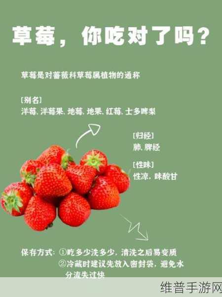 caomei66888：1. 新鲜草莓的营养价值与健康益处探讨