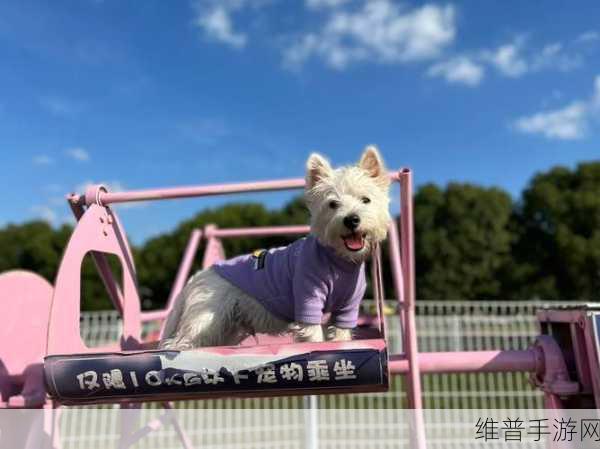 yw193.coc龙物失联:以下是几个基于“yw193.coc龙物失联”主题扩展出的新