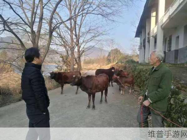 人马畜禽共性关系：1. 人马畜禽关系：共生与互利的新视角