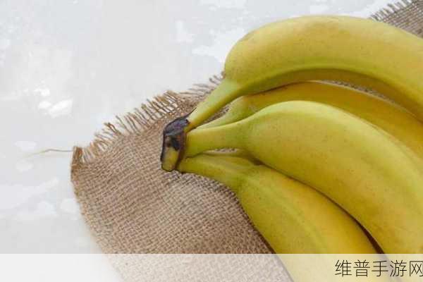 香蕉视频44：好的，以下是一些基于“香蕉视频44”概念的扩展标题建议：
