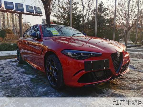 四叶草欧洲和国产区别：1. 四叶草欧洲版与国产版的深度对比分析
