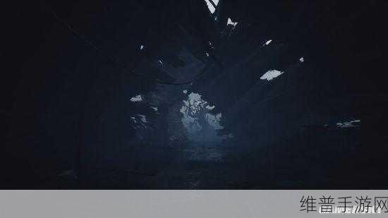 麻花星空苏清歌：1. 麻花星空下的苏清歌：心灵旅程与梦想交响