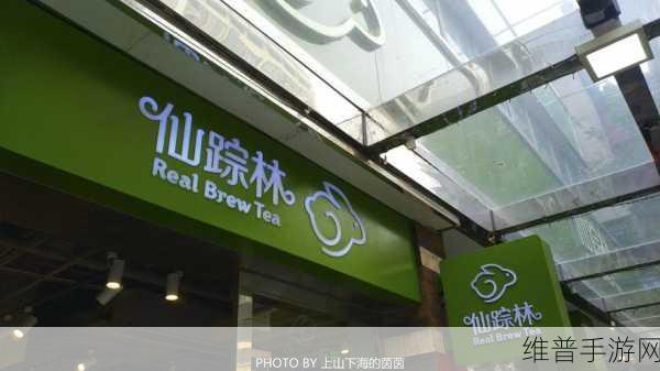 幼儿仙踪林的特色与评价：1. 《幼儿仙踪林：探索自然与童趣的奇妙世界