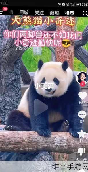 乐乐大熊猫眼睛被挖：1. 乐乐大熊猫眼睛被挖事件引发广泛关注