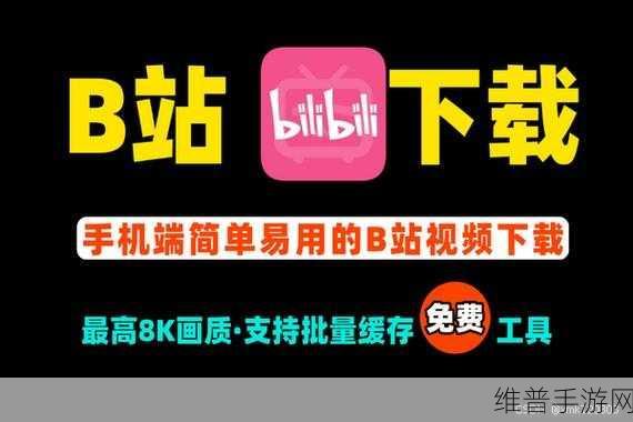 夜里30款禁用b站软件入口:1. 深夜必备:30款禁用B站软件详解