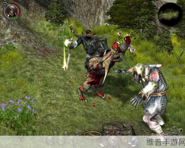 神圣纪事 2 堕落天使，镶嵌系统全解析
