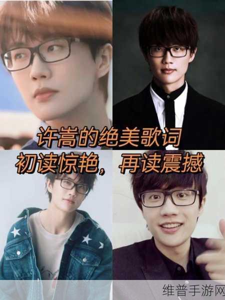 许嵩歌曲的版权是自己的还是公司的：许嵩歌曲版权归属问题的深度探讨与分析